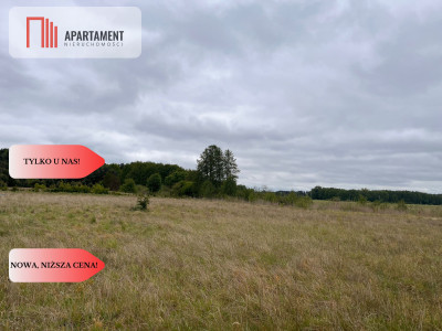 Działka 1000m2 z WZ - Nowe Dąbie  -
Kujawsko-Pomorskie Zdjęcie nr 6