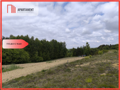 Tylko u nas - działka na sprzedaż w Dylewie - Dylewo  - Kujawsko-Pomorskie