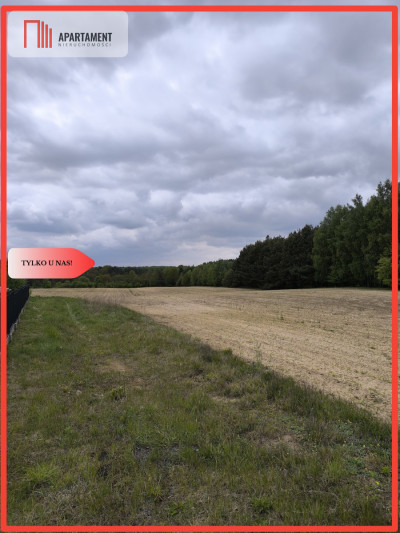 Tylko u nas - działka na sprzedaż w Dylewie - Dylewo  -
Kujawsko-Pomorskie Zdjęcie nr 2