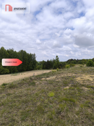 Tylko u nas - działka na sprzedaż w Dylewie - Dylewo  -
Kujawsko-Pomorskie Zdjęcie nr 3