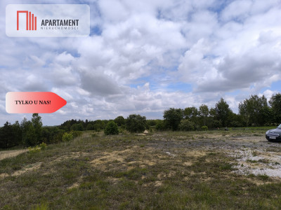 Tylko u nas - działka na sprzedaż w Dylewie - Dylewo  -
Kujawsko-Pomorskie Zdjęcie nr 4