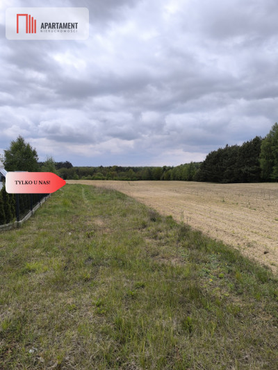 Tylko u nas - działka na sprzedaż w Dylewie - Dylewo  -
Kujawsko-Pomorskie Zdjęcie nr 5