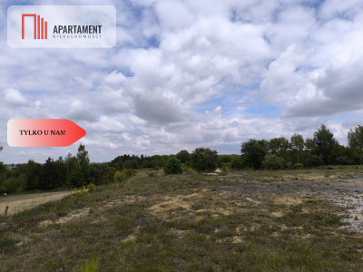 Tylko u nas - działka na sprzedaż w Dylewie - Dylewo  -
Kujawsko-Pomorskie Zdjęcie nr 6