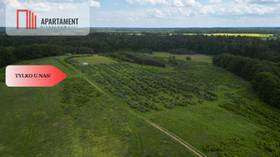 Działki w Miradowie Promocja - Miradowo  -
Pomorskie Zdjęcie nr 3
