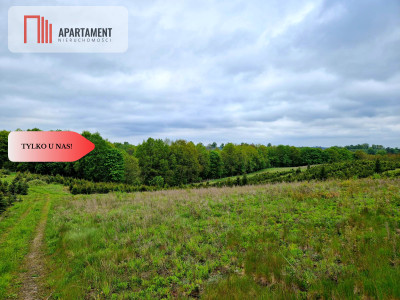 Działki w Miradowie Promocja - Miradowo  -
Pomorskie Zdjęcie nr 6