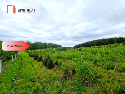 Działki w Miradowie Promocja - Miradowo  -
Pomorskie Zdjęcie nr 9