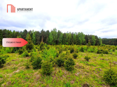 Działki w Bietowie Promocja - Bietowo  -
Pomorskie Zdjęcie nr 11