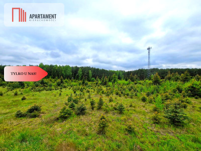 Działki w Bietowie Promocja - Bietowo  -
Pomorskie Zdjęcie nr 5