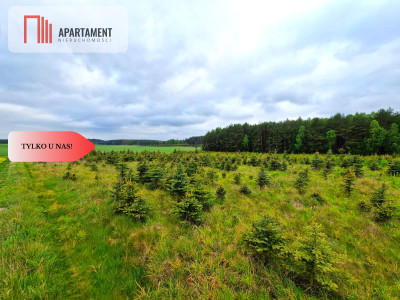 Działki w Bietowie Promocja - Bietowo  -
Pomorskie Zdjęcie nr 6