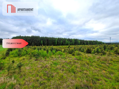 Działki w Bietowie Promocja - Bietowo  -
Pomorskie Zdjęcie nr 7