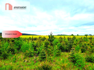 Działki w Bietowie Promocja - Bietowo  -
Pomorskie Zdjęcie nr 8