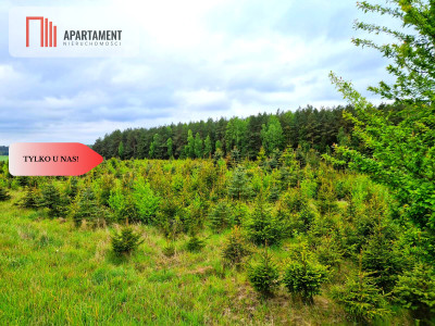 Działki w Bietowie Promocja - Bietowo  -
Pomorskie Zdjęcie nr 9