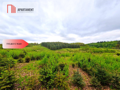 Działki w Miradowie i Bietowie Promocja - Miradowo  -
Pomorskie Zdjęcie nr 11