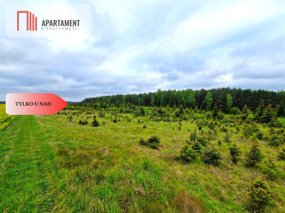 Działki w Miradowie i Bietowie Promocja - Miradowo  -
Pomorskie Zdjęcie nr 12