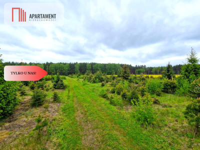 Działki w Miradowie i Bietowie Promocja - Miradowo  -
Pomorskie Zdjęcie nr 14