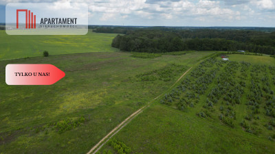 Działki w Miradowie i Bietowie Promocja - Miradowo  -
Pomorskie Zdjęcie nr 2