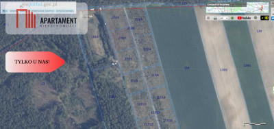 Działki w Miradowie i Bietowie Promocja - Miradowo  -
Pomorskie Zdjęcie nr 5