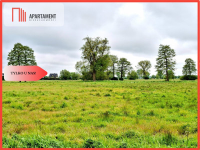 Dziemionna 730 m2 z warunkami zabudowy - Dziemionna  - Kujawsko-Pomorskie