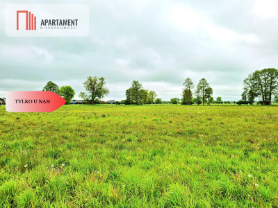 Dziemionna 730 m2 z warunkami zabudowy - Dziemionna  -
Kujawsko-Pomorskie Zdjęcie nr 4