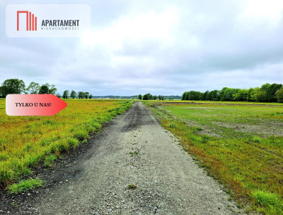 Dziemionna 730 m2 z warunkami zabudowy - Dziemionna  -
Kujawsko-Pomorskie Zdjęcie nr 5