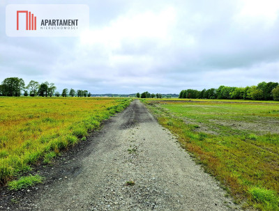 Dziemionna 1440 m2 z warunkami zabudowy - Dziemionna  -
Kujawsko-Pomorskie Zdjęcie nr 2
