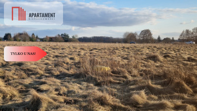 Działka z warunkami zabudowy - Pędzewo  -
Kujawsko-Pomorskie Zdjęcie nr 4