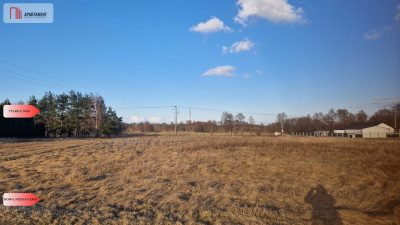 Działka z warunkami zabudowy - Pędzewo  -
Kujawsko-Pomorskie Zdjęcie nr 7