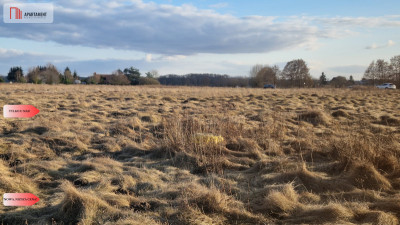 Działka z warunkami zabudowy - Pędzewo  -
Kujawsko-Pomorskie Zdjęcie nr 8