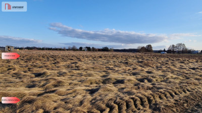 Działka z warunkami zabudowy - Pędzewo  -
Kujawsko-Pomorskie Zdjęcie nr 9