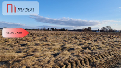 Działka z warunkami zabudowy - Pędzewo  -
Kujawsko-Pomorskie Zdjęcie nr 4