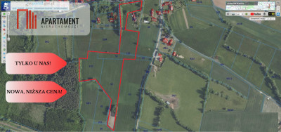 Malownicze działki wśród natury w Niesułowicach - Niesułowice  -
Dolnośląskie Zdjęcie nr 11