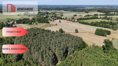 Malownicze działki wśród natury w Niesułowicach - Niesułowice  -
Dolnośląskie Zdjęcie nr 5