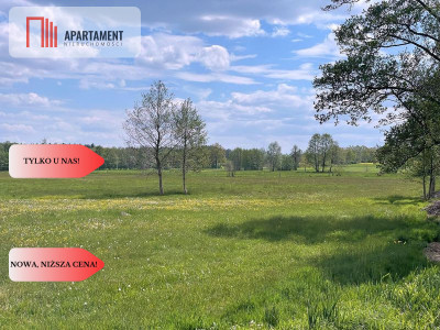 Malownicze działki wśród natury w Niesułowicach - Niesułowice  -
Dolnośląskie Zdjęcie nr 8