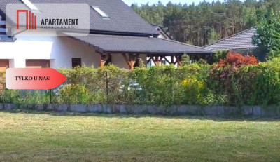 Piekna działka Mieszkaniowo-Usługowa MPZP - Drzewce  -
Kujawsko-Pomorskie Zdjęcie nr 3