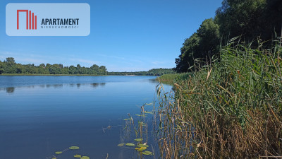 OKAZJA DOMEKPLAŻA LASYWIERZCHUCINEK rod  - Wierzchucinek  -
Kujawsko-Pomorskie Zdjęcie nr 9