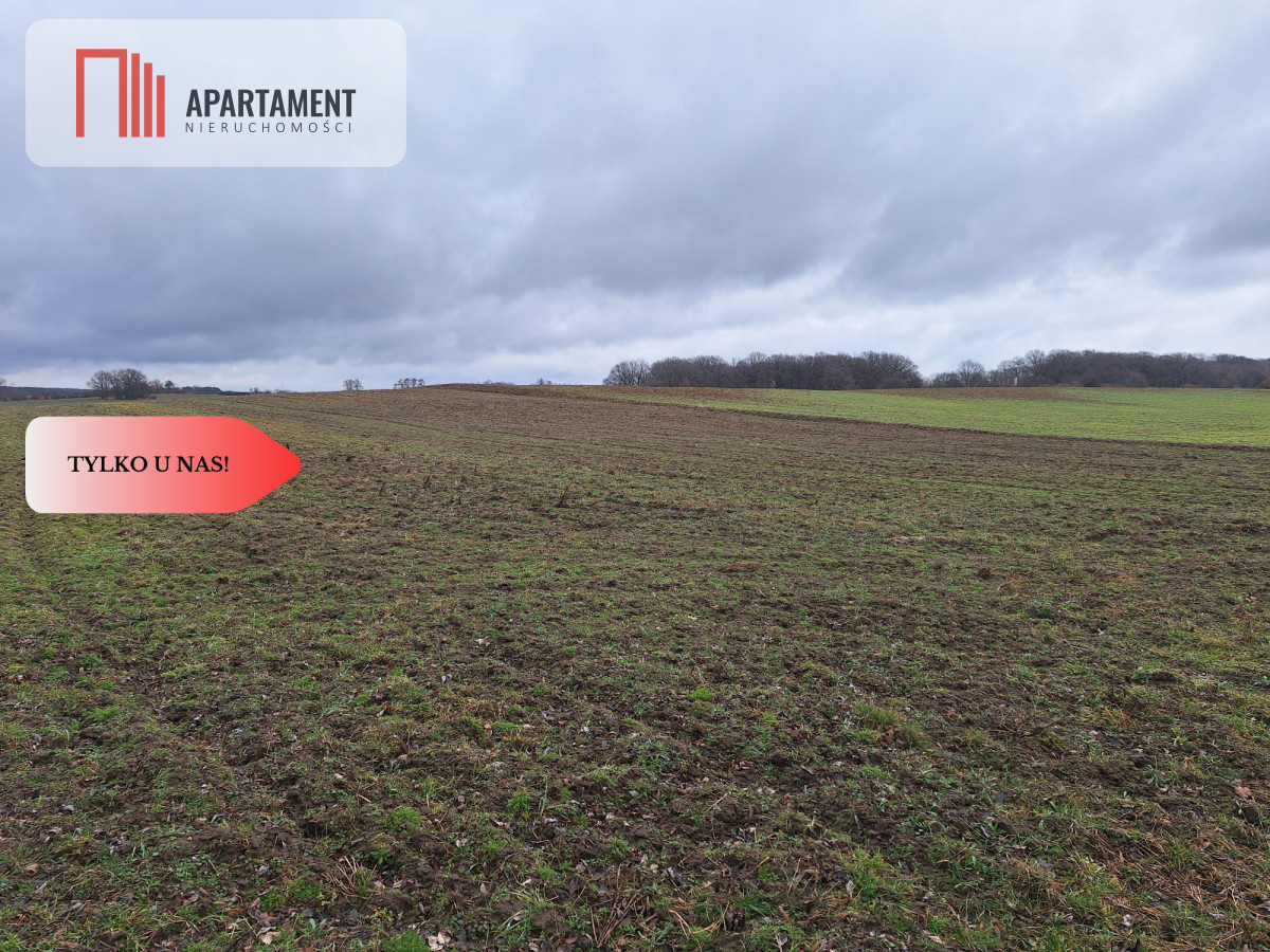 Działka Rolna Rogów Wołowskigm Wińsko - powiat wołowski  -
Dolnośląskie Zdjęcie nr 1