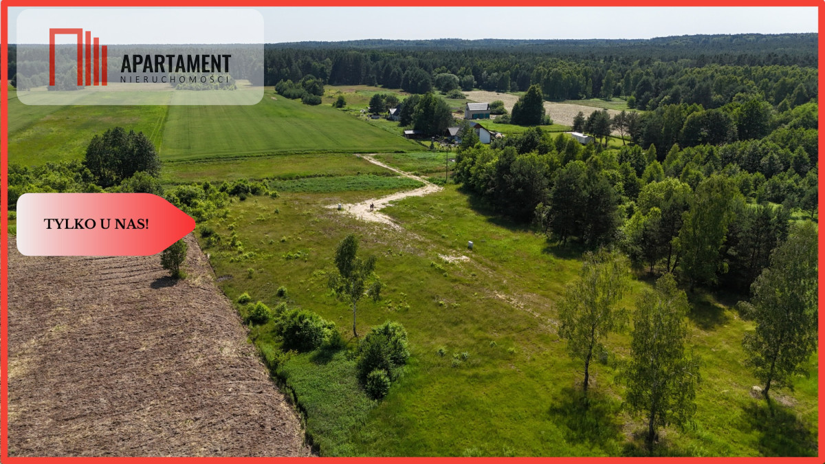 Działki w otoczeniu lasów Malerzów k Twardogóry - Malerzów  -
Dolnośląskie Zdjęcie nr 1