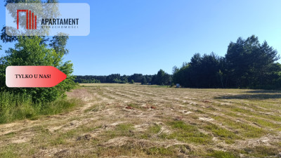 Działki w otoczeniu lasów Malerzów k Twardogóry - Malerzów  -
Dolnośląskie Zdjęcie nr 12