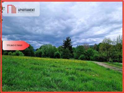 Okazja Działkaspokojnacicha okolica - Nagodzice  - Dolnośląskie