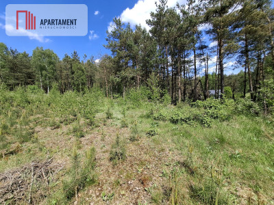 Piękna działka na Kaszubach z warunkami zabudowy - powiat bytowski  -
Pomorskie Zdjęcie nr 4