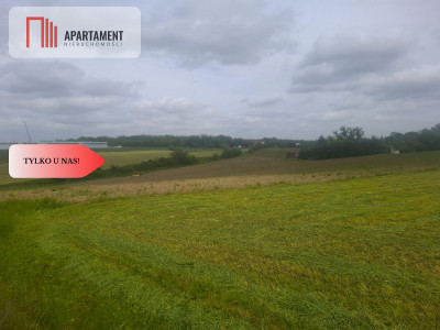 TYLKO U NAS  ATRAKCYJNA BLISKO CHEŁMNA - Grubno  -
Kujawsko-Pomorskie Zdjęcie nr 2