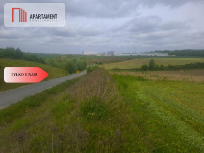 TYLKO U NAS  ATRAKCYJNA BLISKO CHEŁMNA - Grubno  -
Kujawsko-Pomorskie Zdjęcie nr 3