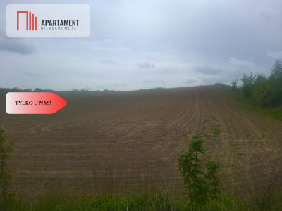 TYLKO U NAS  ATRAKCYJNA BLISKO CHEŁMNA - Grubno  -
Kujawsko-Pomorskie Zdjęcie nr 4