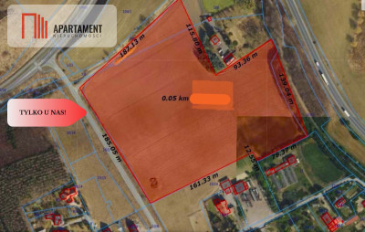 TYLKO U NAS  ATRAKCYJNA BLISKO CHEŁMNA - Grubno  -
Kujawsko-Pomorskie Zdjęcie nr 7