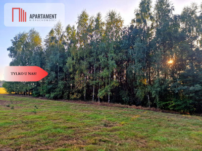Działka budowlana przy lesie pod Bydgoszczą - Czarże  - Kujawsko-Pomorskie