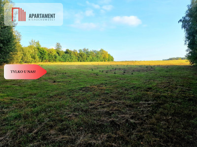 Działka budowlana przy lesie pod Bydgoszczą - Czarże  -
Kujawsko-Pomorskie Zdjęcie nr 6