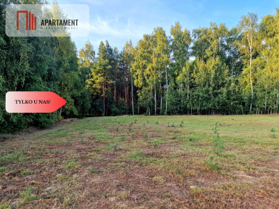 Działka budowlana przy lesie pod Bydgoszczą - Czarże  -
Kujawsko-Pomorskie Zdjęcie nr 7