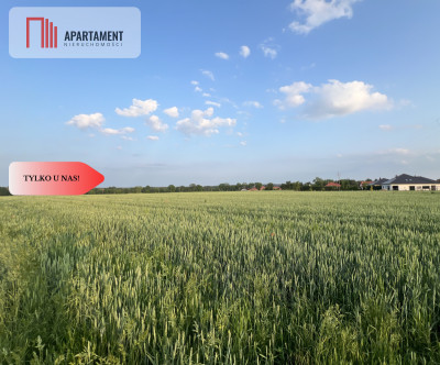 PIĘKNE Działki Budowlane pod Bolesławcem Kruszyn - Kruszyn  -
Dolnośląskie Zdjęcie nr 2