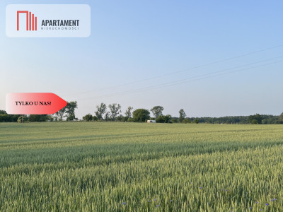 PIĘKNE Działki Budowlane pod Bolesławcem Kruszyn - Kruszyn  -
Dolnośląskie Zdjęcie nr 5