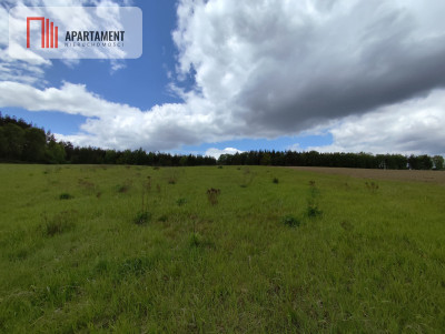 Działki z WZ w Miastku - powiat bytowski  -
Pomorskie Zdjęcie nr 11
